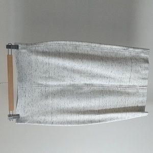 Aritzia Skirt